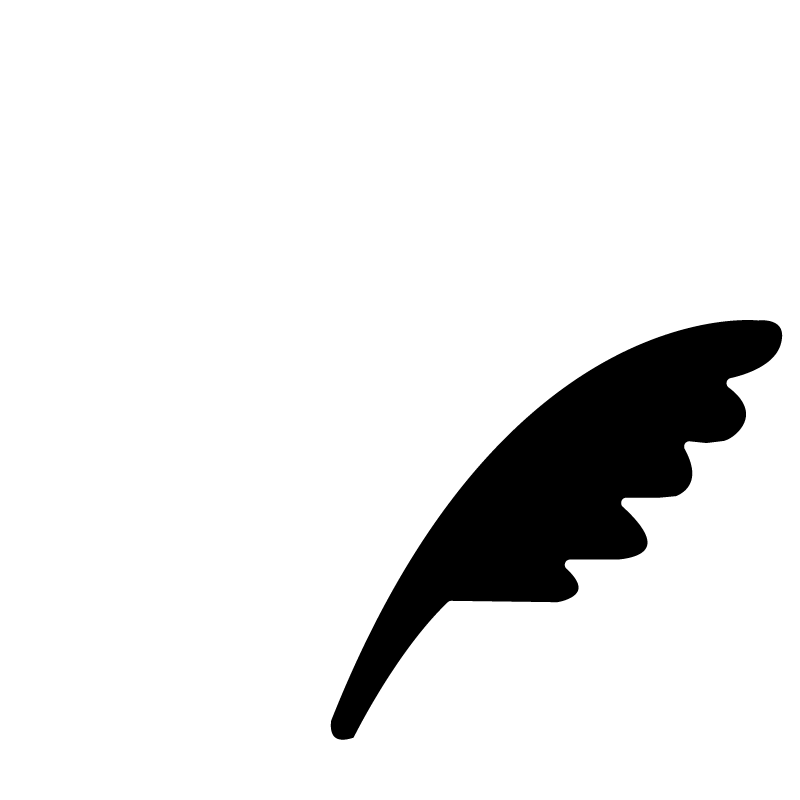 打ち上げ証明書発行